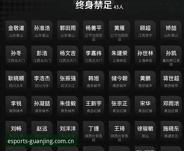 中国足协第三批禁足名单深度解析：17人终身禁赛背后的行业乱象